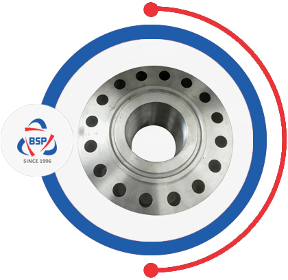 SS 316Ti Ring Type Joint Flanges