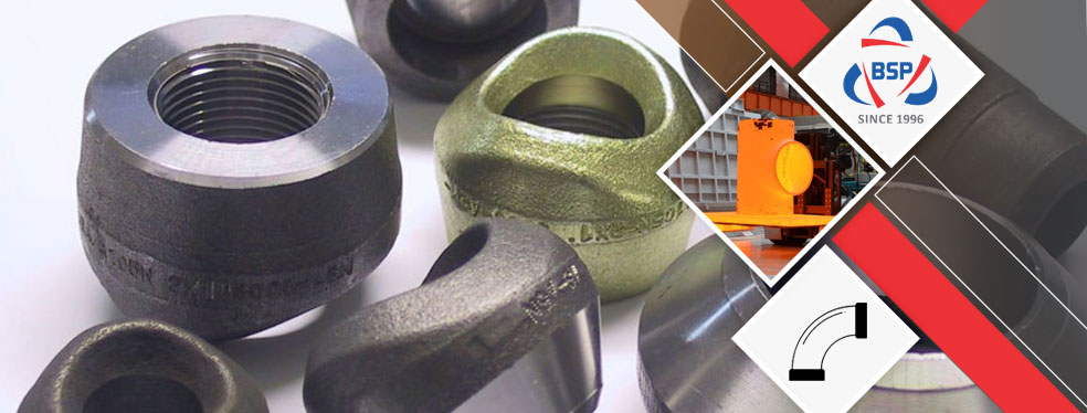 Alloy 20 Olets Alloy 20 Olets