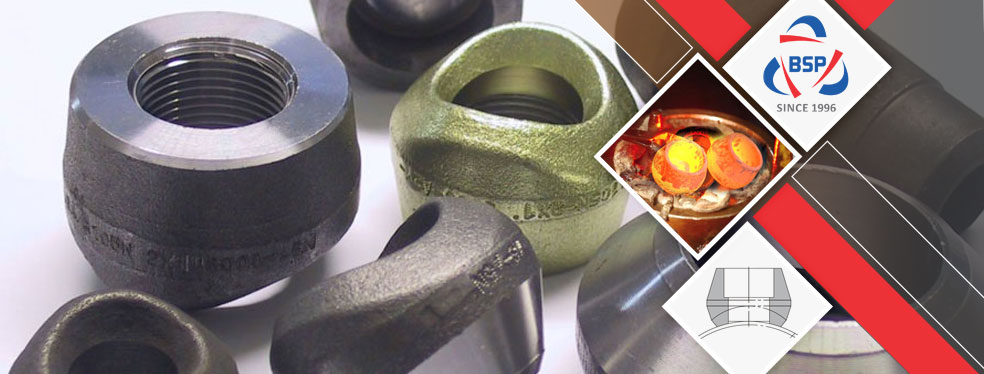 Stainless Steel 304 Olets Carbon Steel A105 Olets